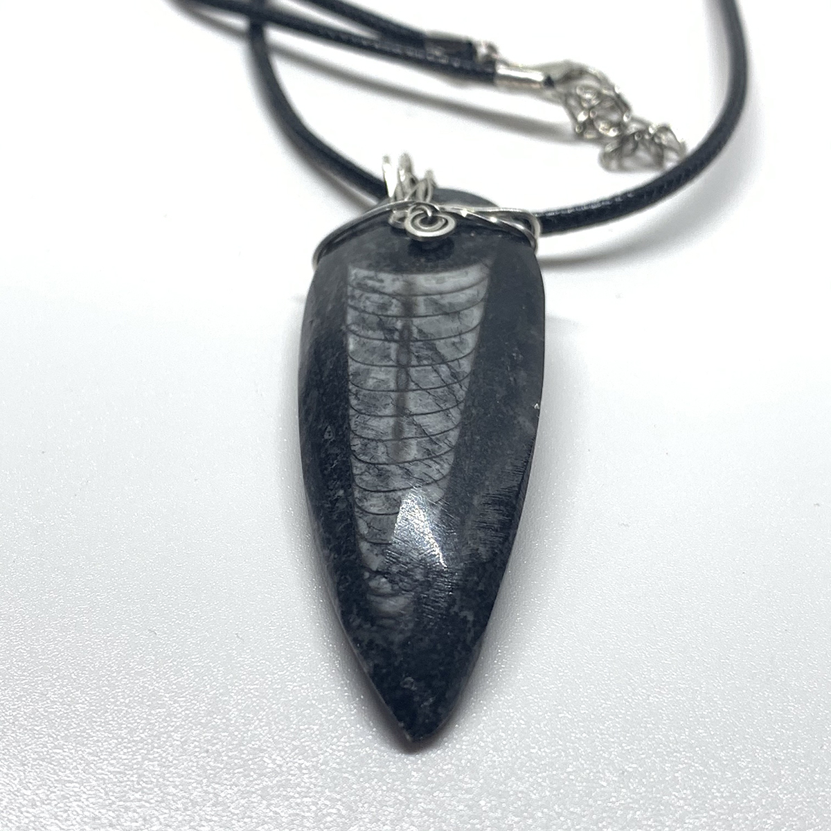 Orthoceras Fossil Pendant