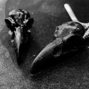 Raven Skull Figurine
