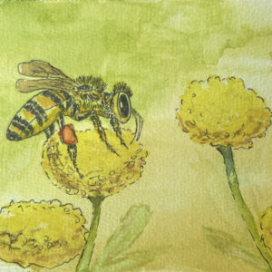 You've BEEn Pollinated!