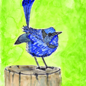 Bluebird (April 2025)