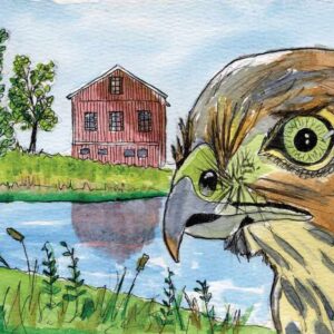 Hawk and Cottage